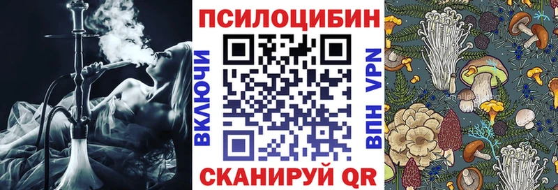 Галлюциногенные грибы прущие грибы  как найти   Ноябрьск 