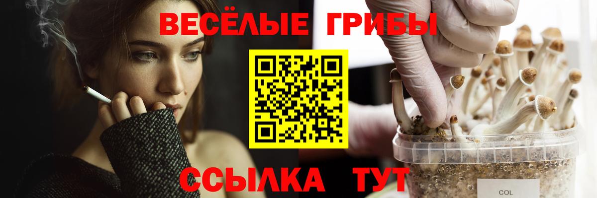 Ноябрьск  Галлюциногенные грибы Psilocybe  Вход с VPN 