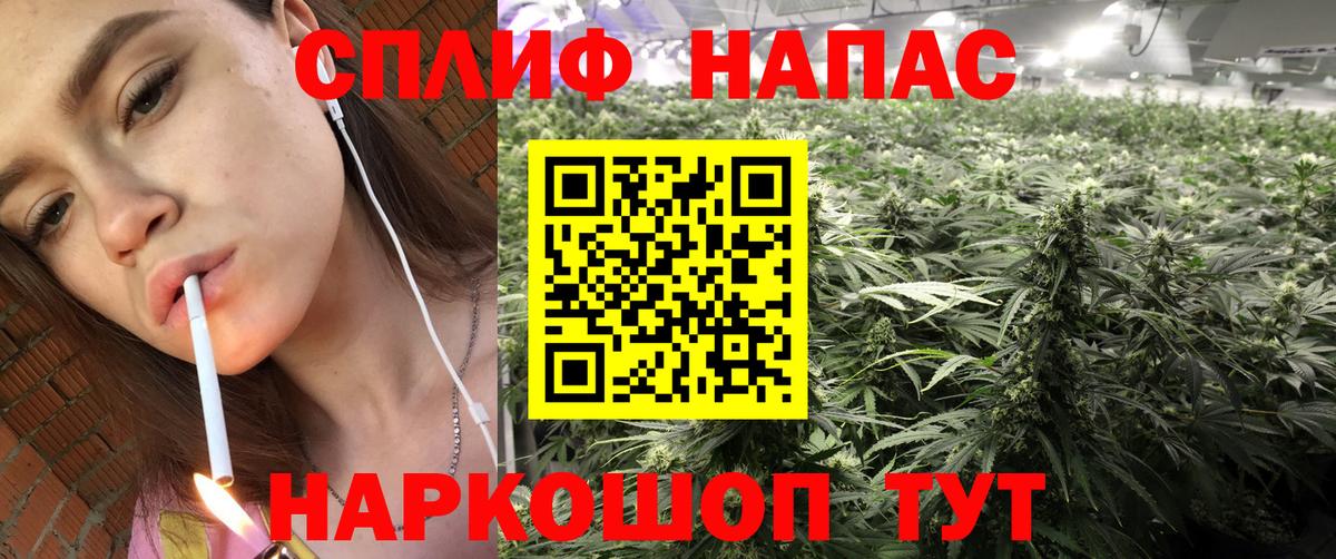 Шишки марихуана OG Kush Ноябрьск